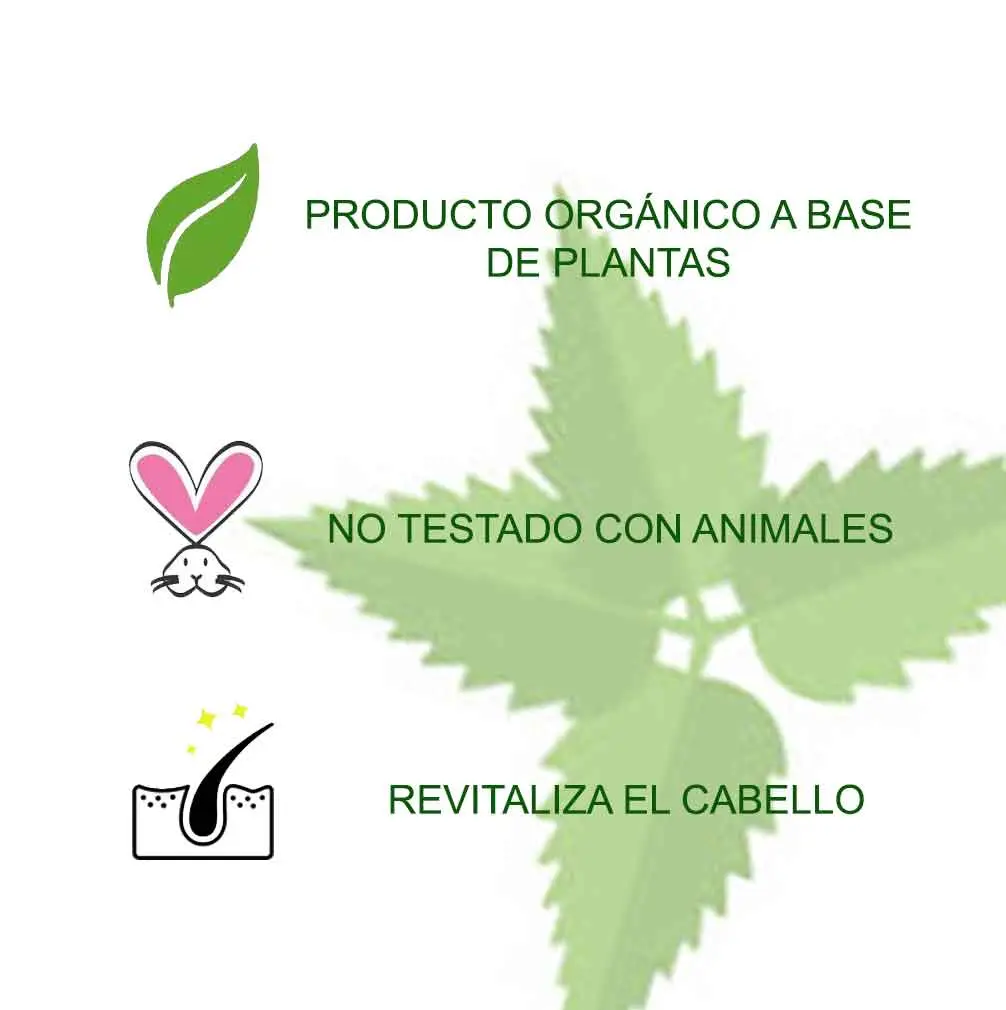 Imagen del producto 7